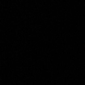 Meet your Posher, Elise